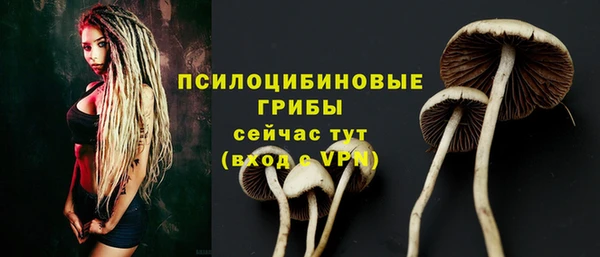 стафф Арсеньев