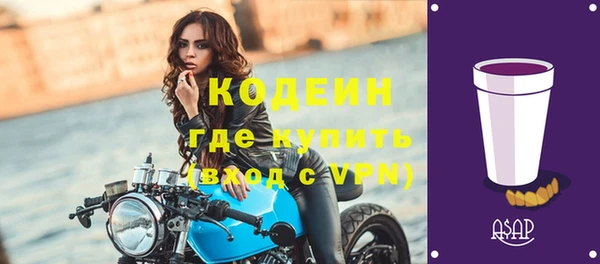 стафф Арсеньев