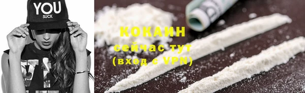 стафф Арсеньев