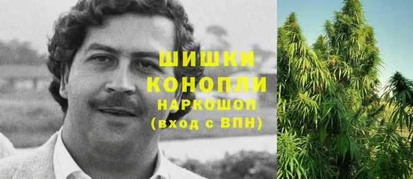 амф Аркадак