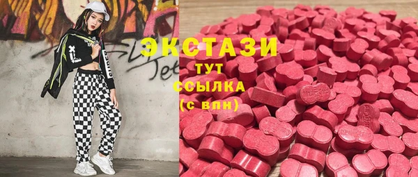 мдпв Каменка