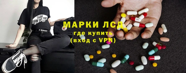 стафф Арсеньев