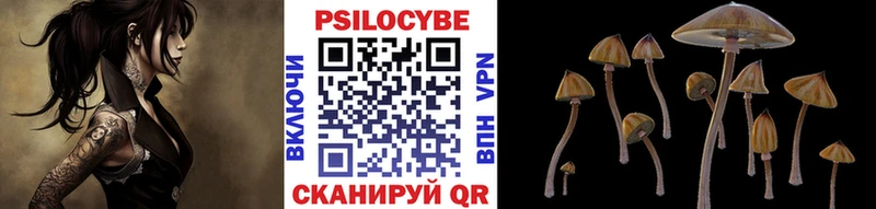Псилоцибиновые грибы прущие грибы Олонец