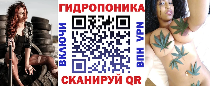 МАРИХУАНА гибрид  где можно купить наркотик  Олонец 